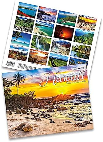 Sziget Örökség 16 Hónapban A Kereskedelmi 2023 Naptár November 2022 - 2024 Február Hawaii-Aloha State (62271)